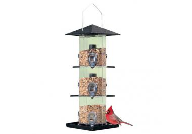 Alimentador de P&aacute;jaros