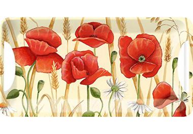 Bandeja de Pl&aacute;stico