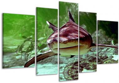 Cuadros de Impresi&oacute;n Digital