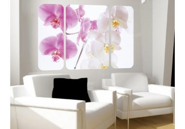 Cuadros Tr&iacute;pticos