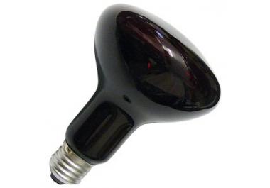 Lámparas Infrarrojos