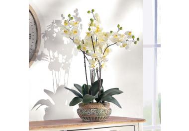 Orqu&iacute;deas Artificiales