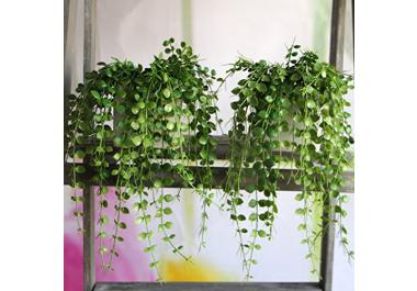 Plantas Artificiales