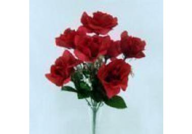 Plantas Ornamentales